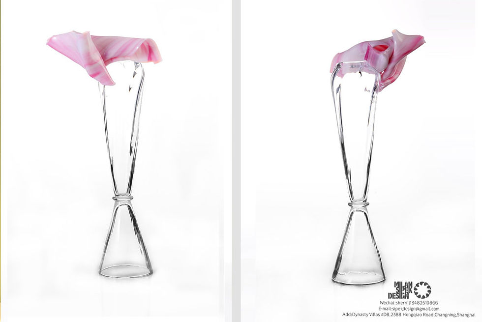 Milan Sipek Design