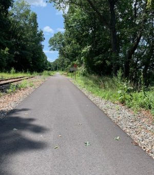 What do you perceive?