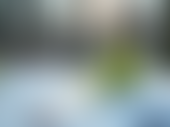 Balancing the Yin/Yang Energies