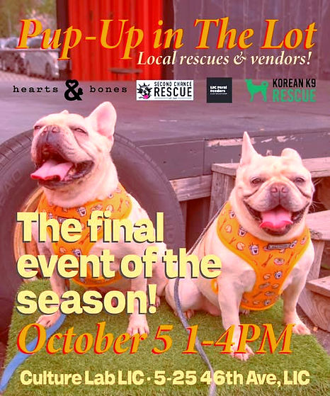 pup up october_edited.jpg