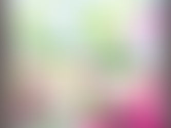 What Goes Into A Painting - The Artist's Creative Process