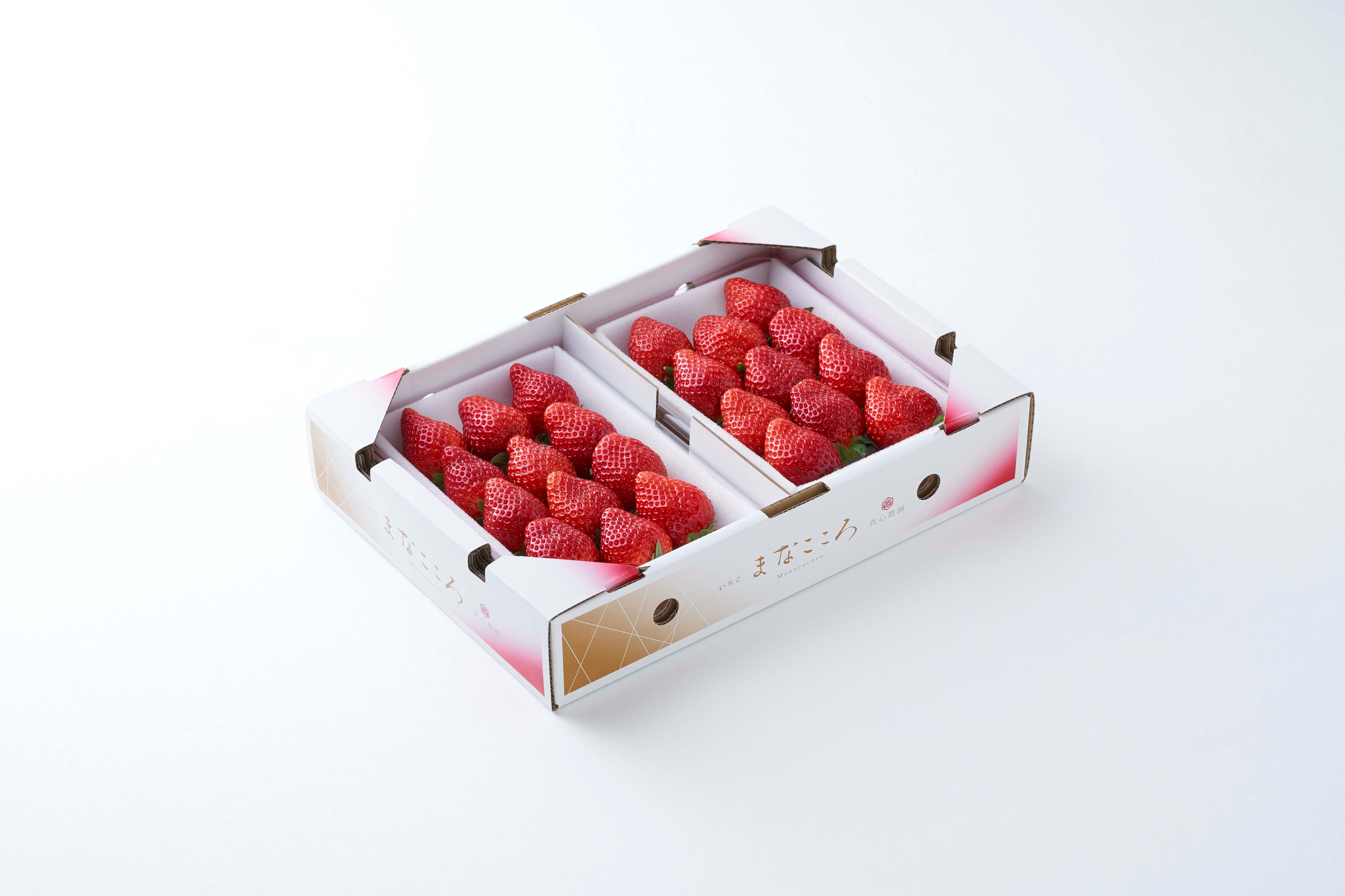 まなこころ・楓 【とちおとめ】560g(1段詰め×2パック) 1箱