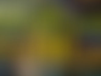 2021 AUTUMN SALE 10/1(fri)-10/31(sun)