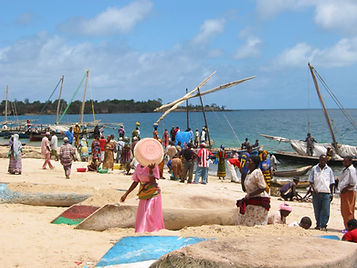 海外経済特区開発案件実績のサムネイル