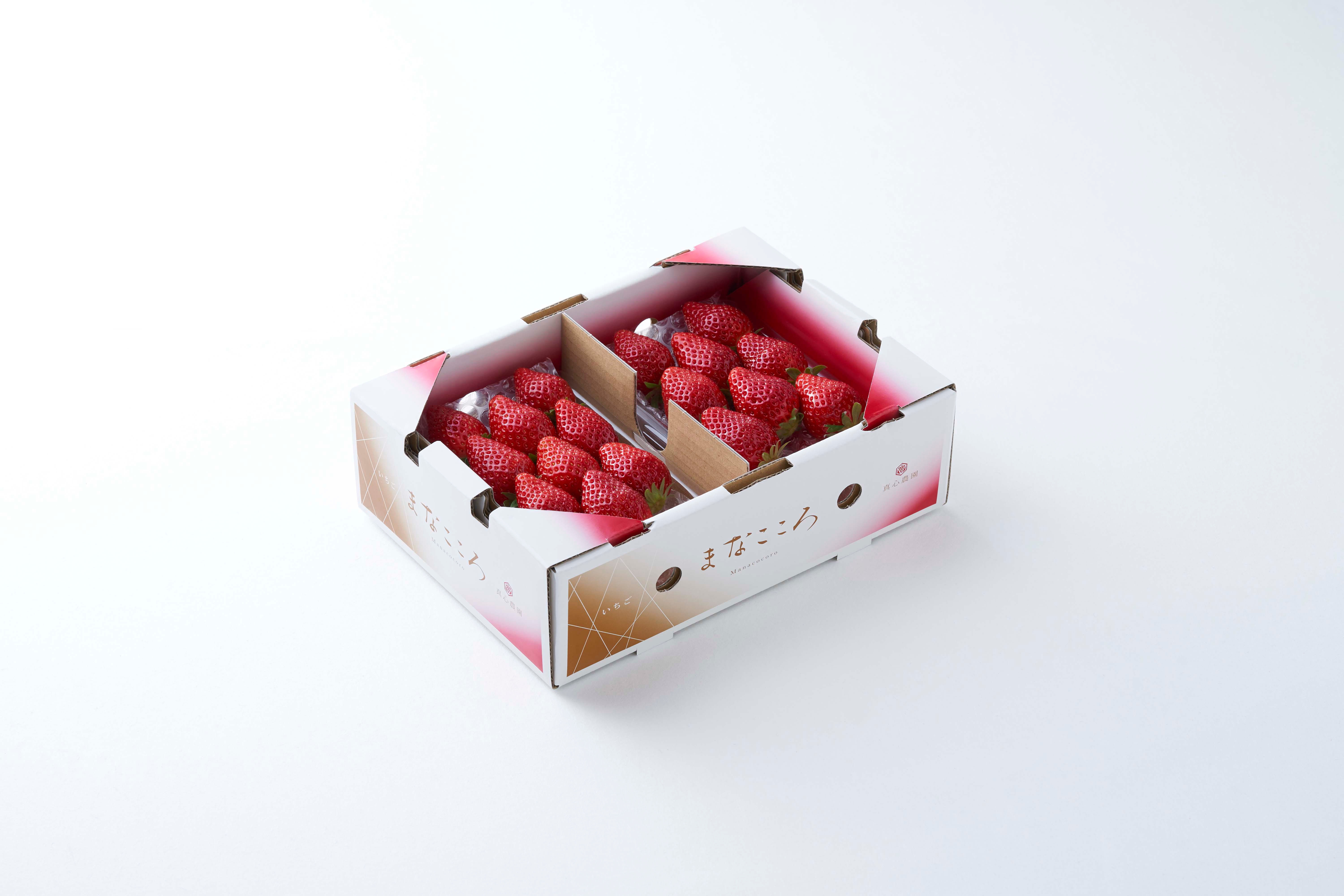 まなこころ・葵 【とちおとめ】 520g(2段詰め×2パック) 1箱