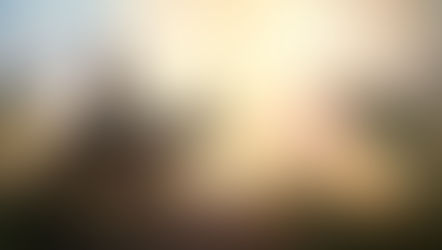 Kingly Ride on a Donkey