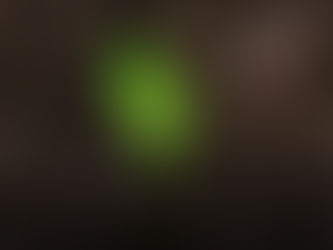 Trust God for Renewal