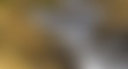 Streams in the Desert