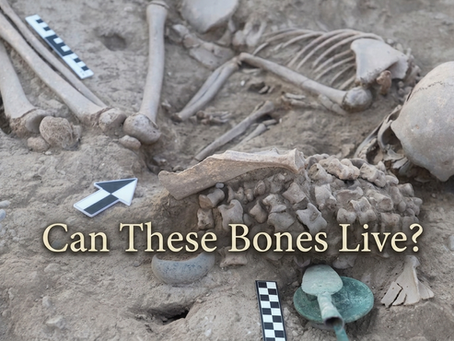 Facing Life’s Staggering Questions