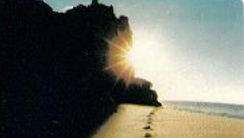 Steps Ordered by the Lord