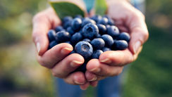 Deeper in Fruitfulness