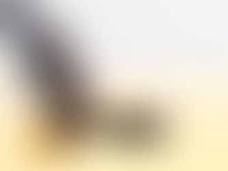 Holy Optimism Prevails Everyday