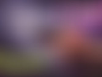 Limping Between Opinions