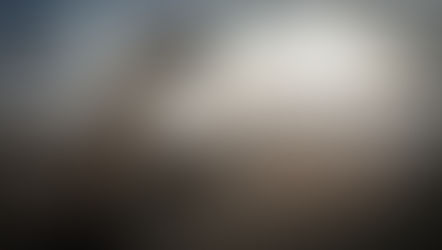 Anchored in the Storm