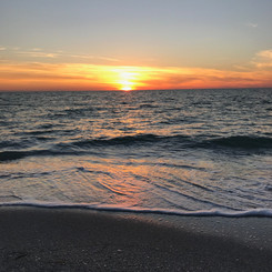 IMG_2527.jpeg