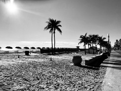 IMG_2792.jpeg