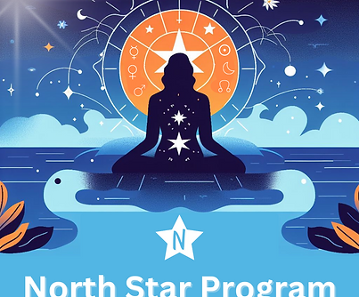 North Star Program.png