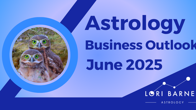 Astrology Business Outlook for June 2025. Photo of two owls.