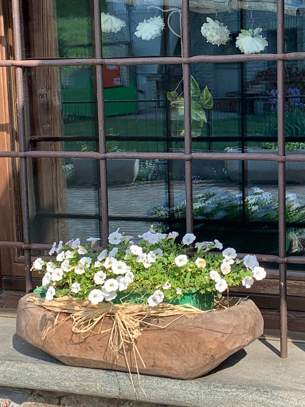 Fiori