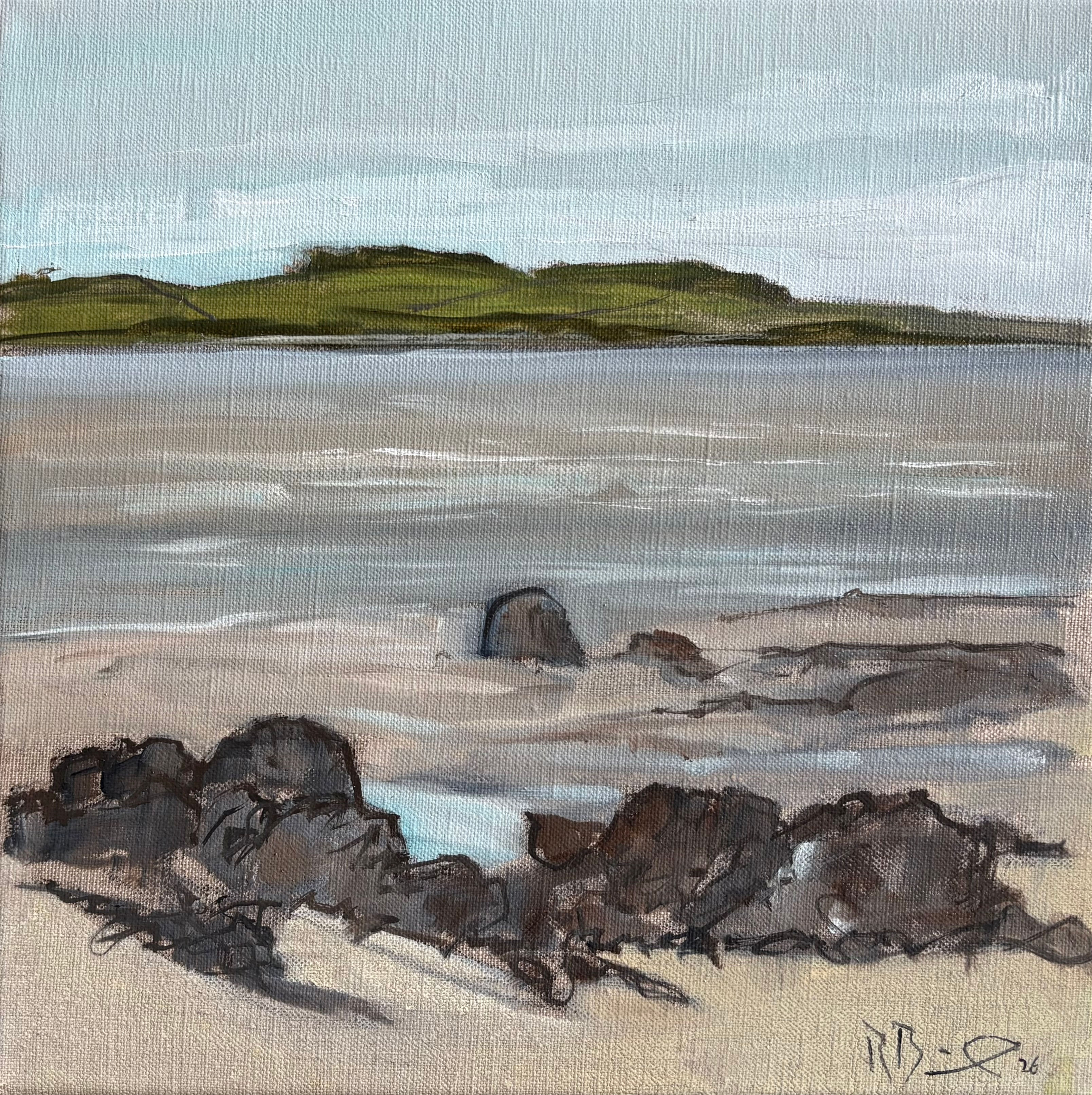 Across Kirkcudbright bay from Seaward / Dhoon