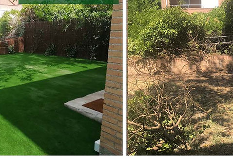 Affter, before ramovals in washington