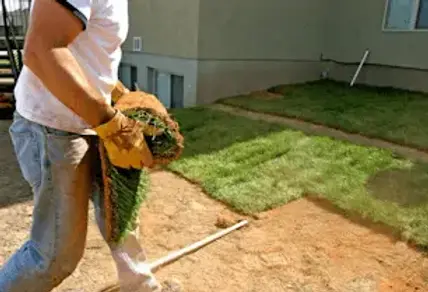 Sod Installations in Hurrecane