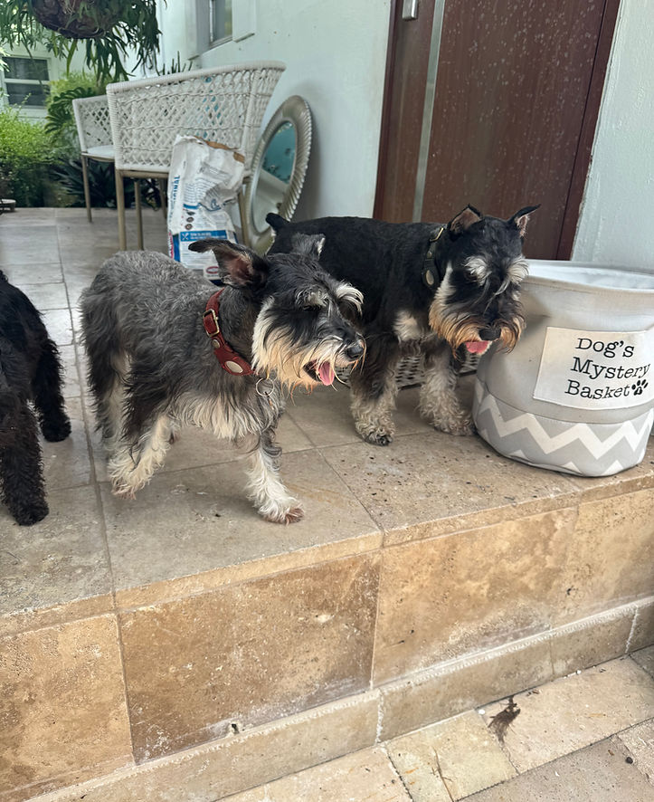 IMG_1639.jpeg