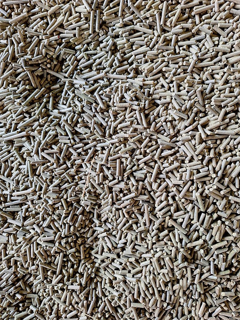 WhatsApp Image 2024-01-27 at 11.58.01 AM.jpeg