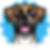 Best Dog Training Academy_Portland_Sherwood_Lake Oswego_Oregon_Pet_Train_Board_Boarding_Se