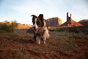 Rio Valley of The Gods-2.jpg