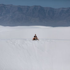 white sands park