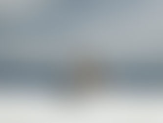 Hiking Peaks with Dogs