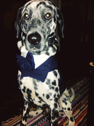 The Pathology of Innocence