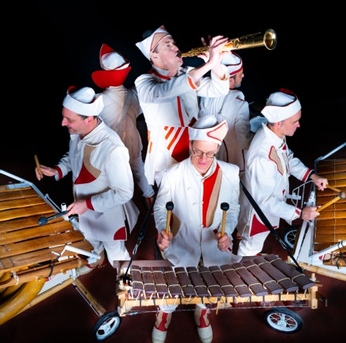 MUSICIEN 101_CompletMandingue_credit Jean-Marie Hosatte (Petit).jpg