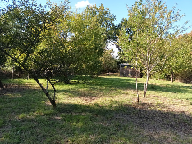 20220930_155449.jpg