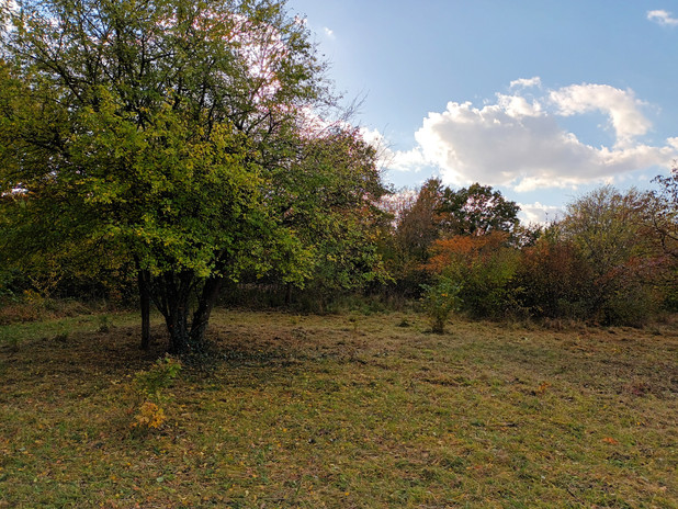IMG_20211022_161035.jpg
