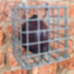 13cm x 13cm x 9cm pir, sensor, cctv cage guard