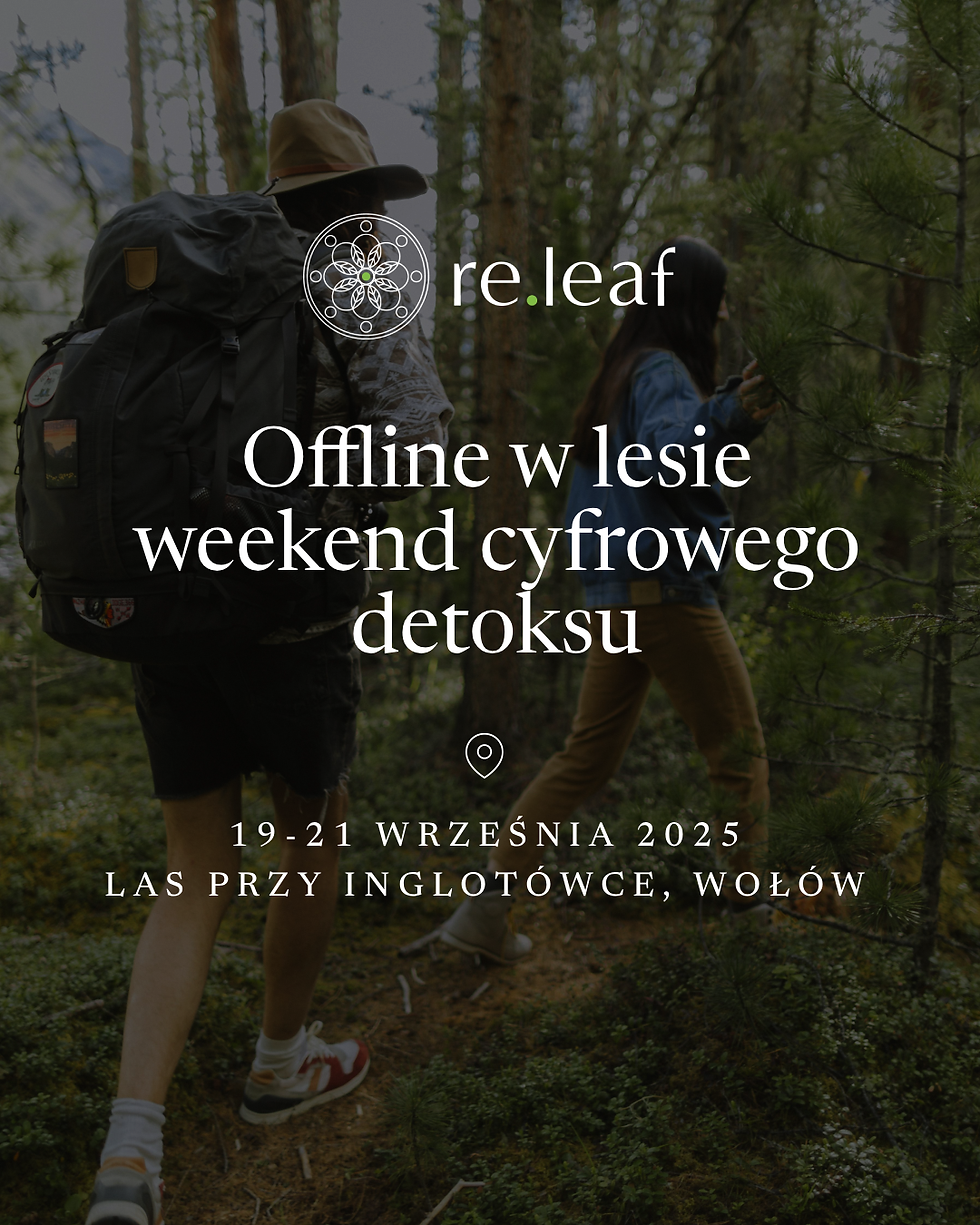 OFFLINE W LESIE – weekendowy detoks cyfrowy 1100 zł