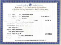 CKC Registration