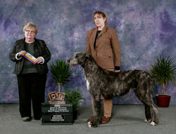 Ontario Breeders 2014