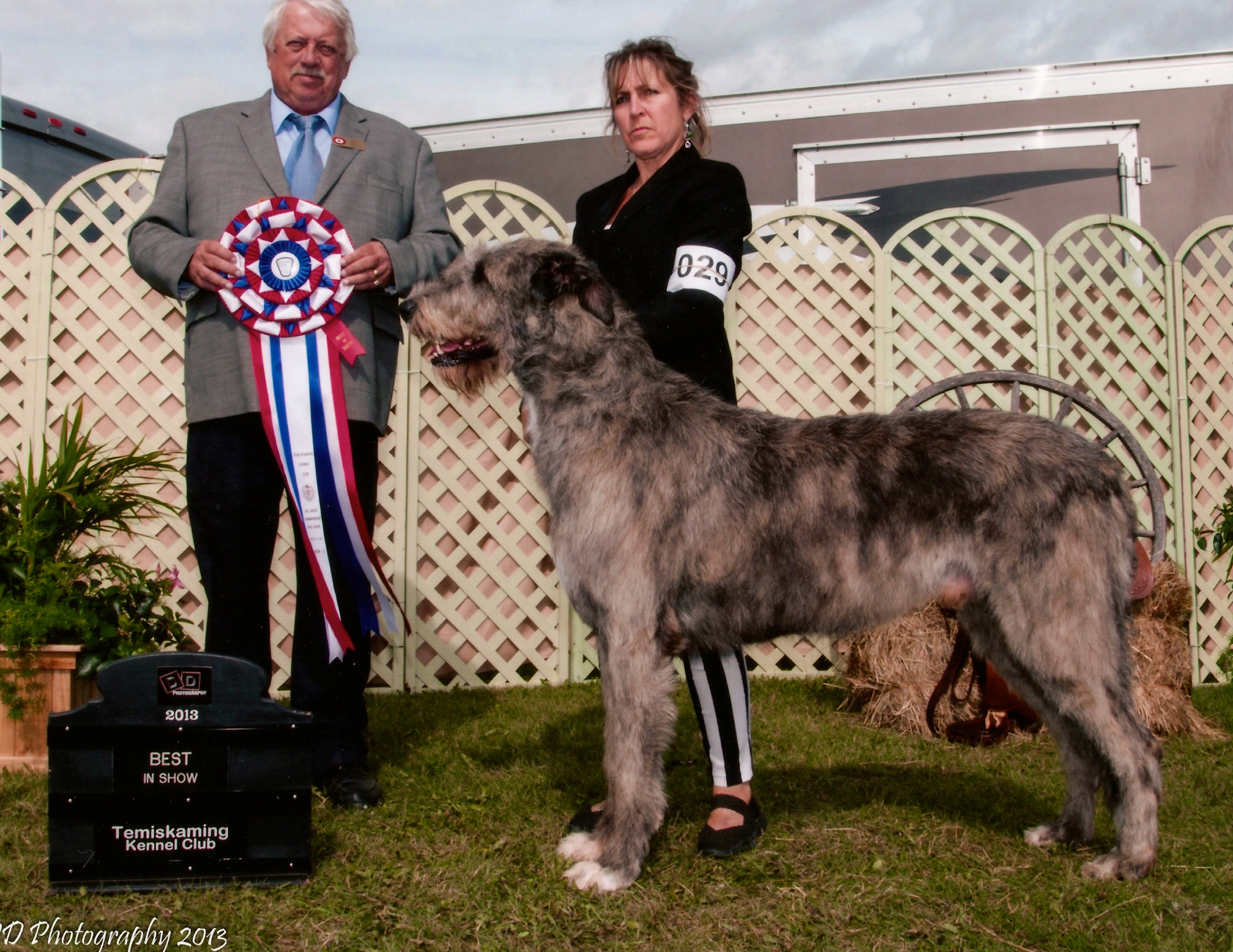 Best in Show
