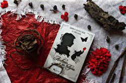 Antoon e as tulipas de Amsterdã