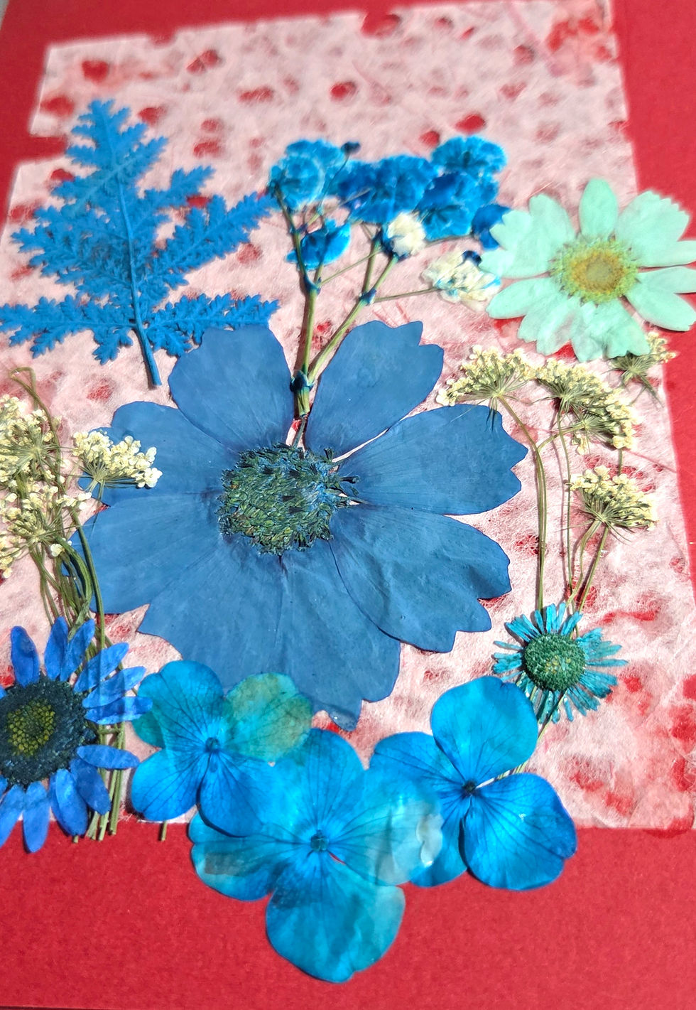 Thumbnail: Handmade real Pressed Flower cards | For all occasions | Set of Two