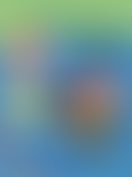 Coletivo Marianas na seção infantil da BPP | outubro de 2025