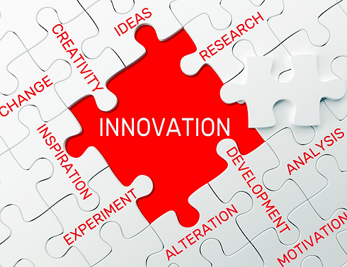 The Innovator Program.png