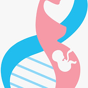 Logo de Perinatologo Ginecólogo