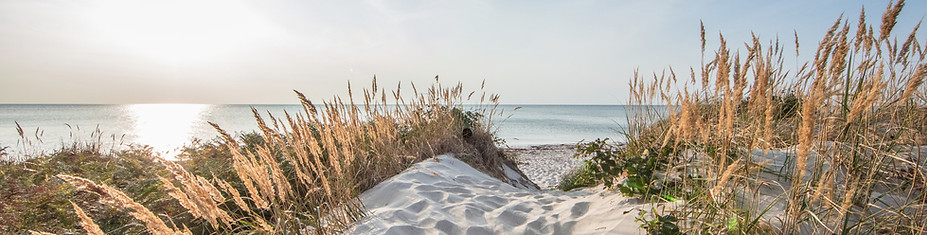 Strand.jpg