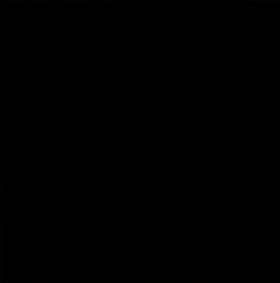 WhatsApp Image 2025-11-13 at 14.08_edited.jpg