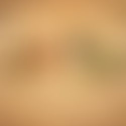 Ancient Amulets of the Inca and Aztec Worlds