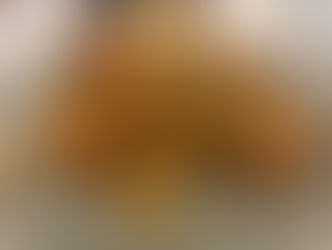 Zoodle Spaghetti Bolognese